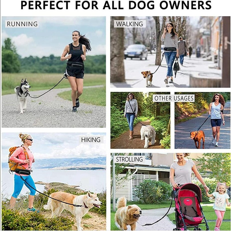 Ultimate Hands-Free Dog Leash with Shock Absorbing Bungee and Storage - Bark Buddy Store