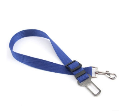Comfortable Fixed Strap Dog Leash for Smooth and Secure Walks - Bark Buddy Store