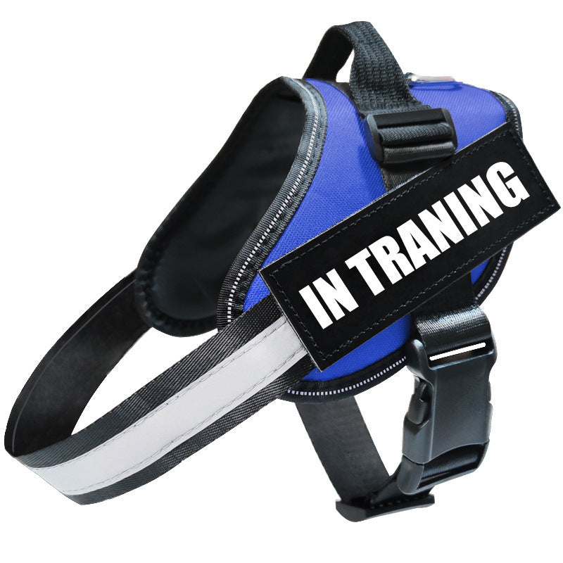 Safety First: Reflective Dog Leash and Harness Combo - Bark Buddy Store