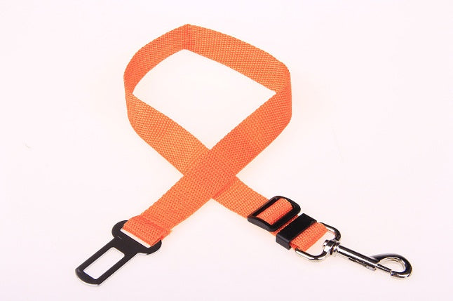 Comfortable Fixed Strap Dog Leash for Smooth and Secure Walks - Bark Buddy Store