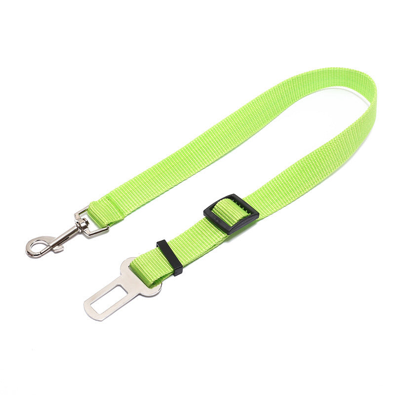 Comfortable Fixed Strap Dog Leash for Smooth and Secure Walks - Bark Buddy Store