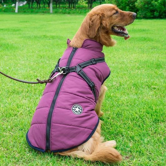 Fluffy Cotton Dog Jacket – Keep Your Pup Warm & Happy - Bark Buddy Store