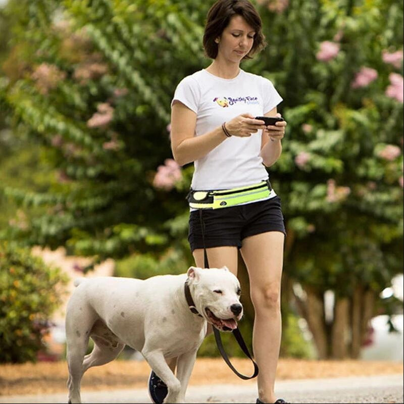 Ultimate Hands-Free Dog Leash with Shock Absorbing Bungee and Storage - Bark Buddy Store