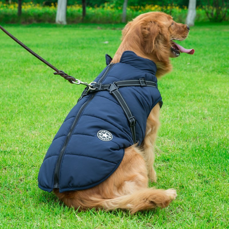 Fluffy Cotton Dog Jacket – Keep Your Pup Warm & Happy - Bark Buddy Store