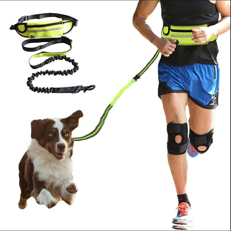 Ultimate Hands-Free Dog Leash with Shock Absorbing Bungee and Storage - Bark Buddy Store