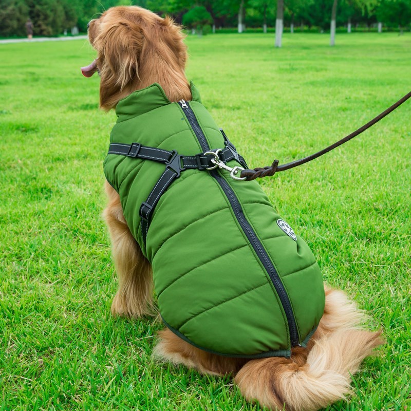 Fluffy Cotton Dog Jacket – Keep Your Pup Warm & Happy - Bark Buddy Store