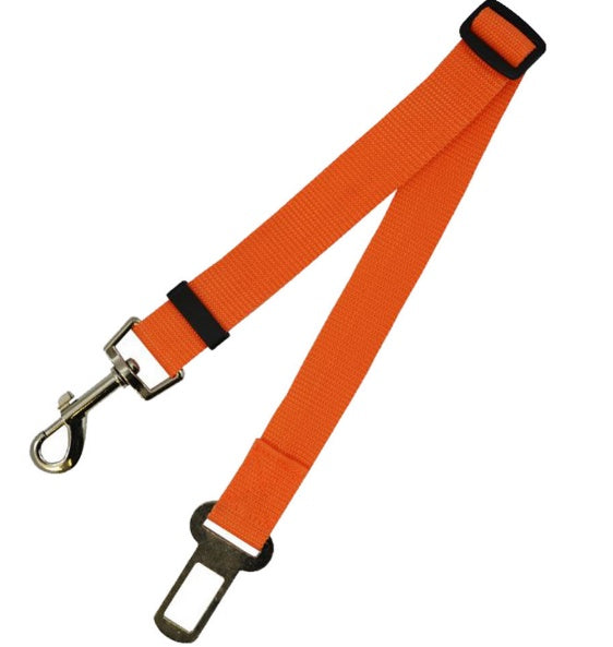 Comfortable Fixed Strap Dog Leash for Smooth and Secure Walks - Bark Buddy Store