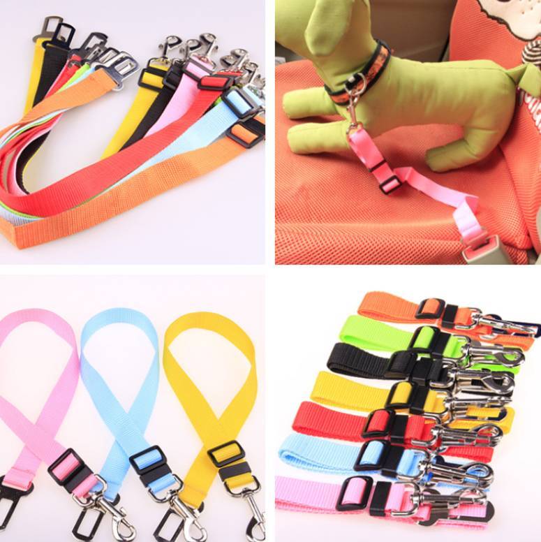 Comfortable Fixed Strap Dog Leash for Smooth and Secure Walks - Bark Buddy Store