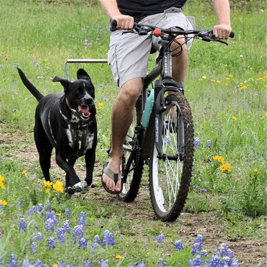 Pedal and Paws: Tow Your Dog on Every Ride!