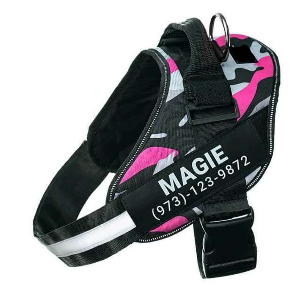 Personalized trendy No-Pull Dog Harness – Reflective, Breathable, Adjustable Fit - Bark Buddy Store