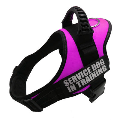 Personalized trendy No-Pull Dog Harness – Reflective, Breathable, Adjustable Fit - Bark Buddy Store