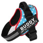 Personalized trendy No-Pull Dog Harness – Reflective, Breathable, Adjustable Fit - Bark Buddy Store