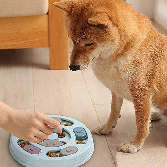 Dog Puzzle Feeding Bowls for Pets – Wholesale Manufacturers Supply - Bark Buddy Store