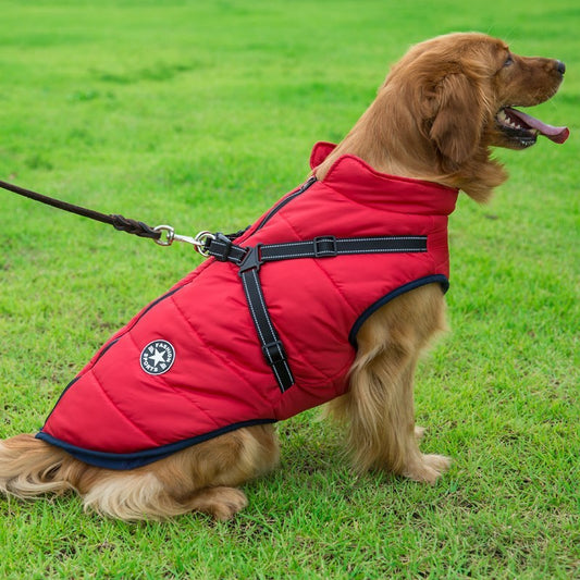 Fluffy Cotton Dog Jacket – Keep Your Pup Warm & Happy - Bark Buddy Store