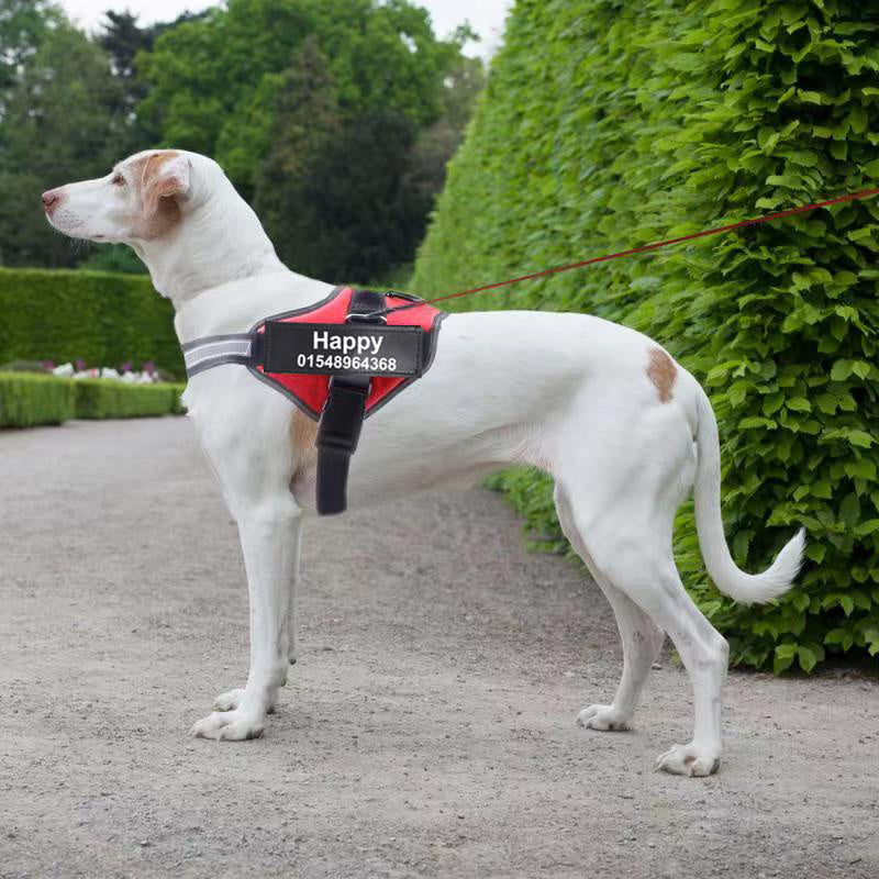 Personalized trendy No-Pull Dog Harness – Reflective, Breathable, Adjustable Fit - Bark Buddy Store