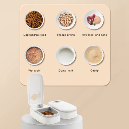 Automatic Pet Feeder Smart Food Dispenser For Cats Dogs Timer Stainless Steel Bowl Auto Dog Cat Pet Feeding Pets Supplies - Bark Buddy Store
