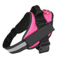 Personalized trendy No-Pull Dog Harness – Reflective, Breathable, Adjustable Fit - Bark Buddy Store