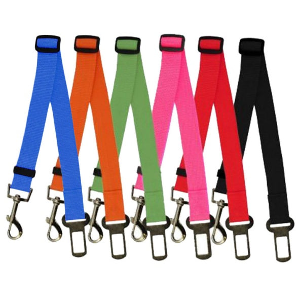 Comfortable Fixed Strap Dog Leash for Smooth and Secure Walks - Bark Buddy Store