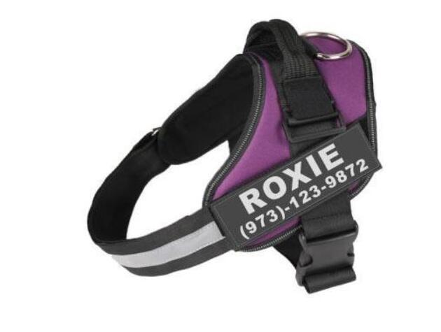 Personalized trendy No-Pull Dog Harness – Reflective, Breathable, Adjustable Fit - Bark Buddy Store