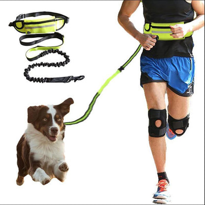 Ultimate Hands-Free Dog Leash with Shock Absorbing Bungee and Storage - Bark Buddy Store